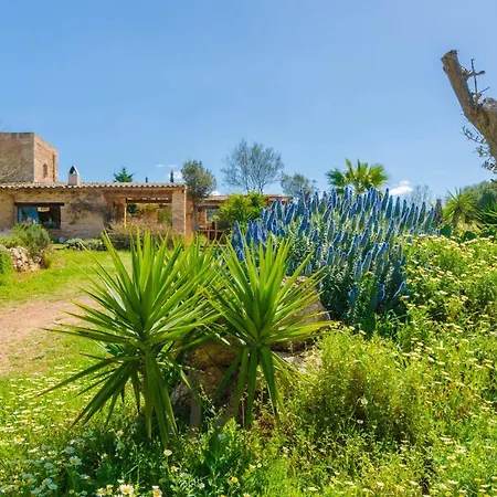 Es Moli Des Trenc Campos (Mallorca)